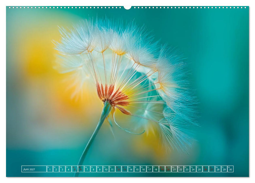 Lichtspiele der Natur (CALVENDO Wandkalender 2027)