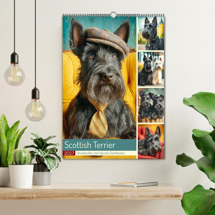 Scottish Terrier. Würdevoller und robuster Gentlemen (CALVENDO Wandkalender 2027)