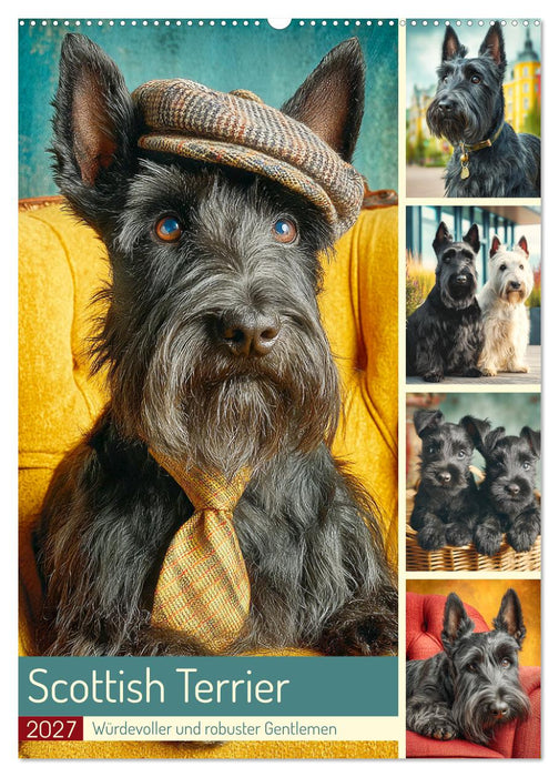 Scottish Terrier. Würdevoller und robuster Gentlemen (CALVENDO Wandkalender 2027)