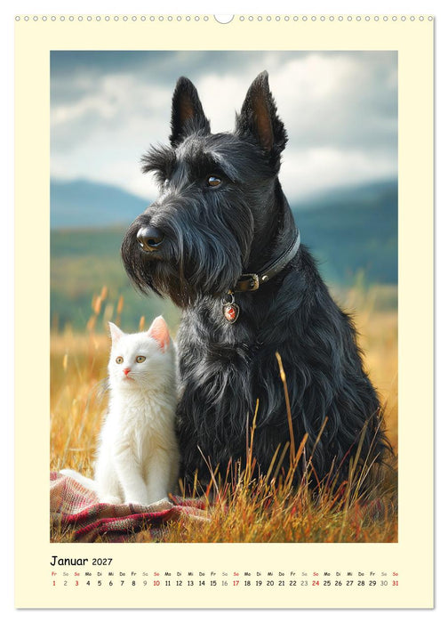 Scottish Terrier. Würdevoller und robuster Gentlemen (CALVENDO Wandkalender 2027)