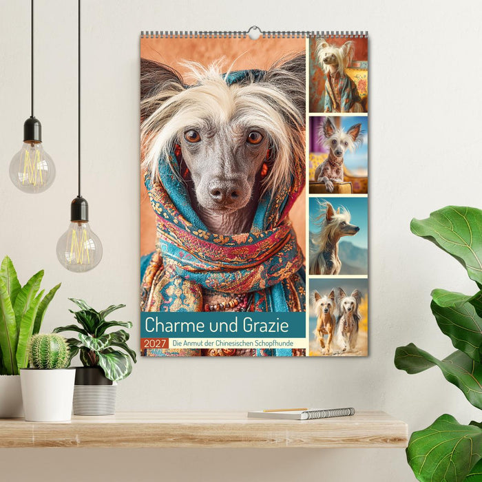 Charme und Grazie. Die Anmut der Chinesischen Schopfhunde (CALVENDO Wandkalender 2027)