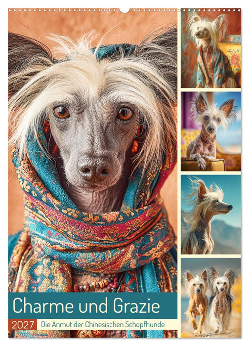 Charme und Grazie. Die Anmut der Chinesischen Schopfhunde (CALVENDO Wandkalender 2027)