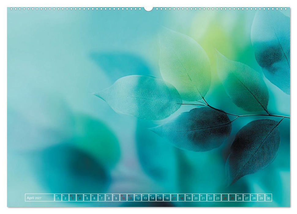 Lichtspiele der Natur (CALVENDO Premium Wandkalender 2027)