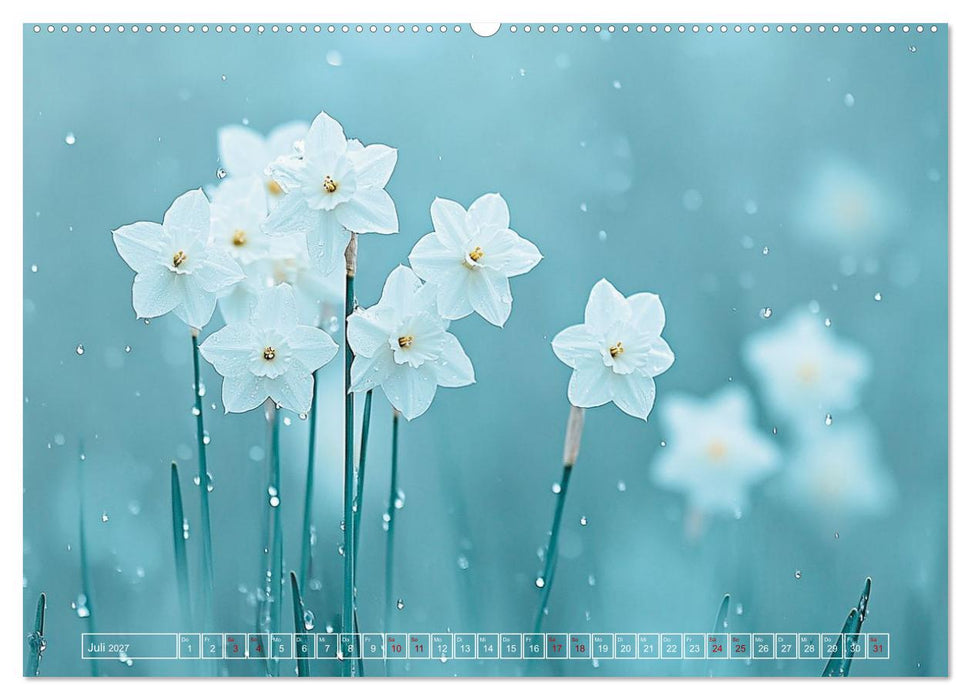 Lichtspiele der Natur (CALVENDO Premium Wandkalender 2027)