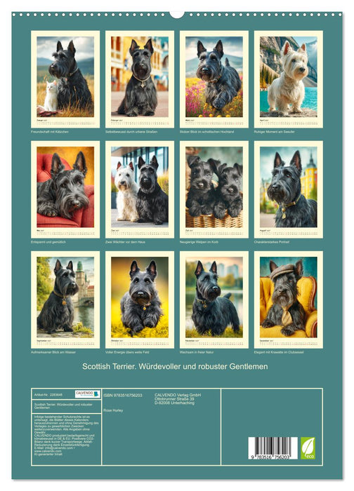 Scottish Terrier. Würdevoller und robuster Gentlemen (CALVENDO Premium Wandkalender 2027)