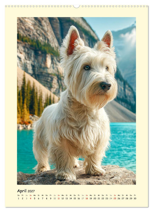Scottish Terrier. Würdevoller und robuster Gentlemen (CALVENDO Premium Wandkalender 2027)