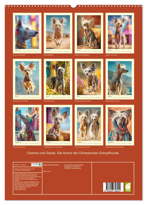 Charme und Grazie. Die Anmut der Chinesischen Schopfhunde (CALVENDO Premium Wandkalender 2027)