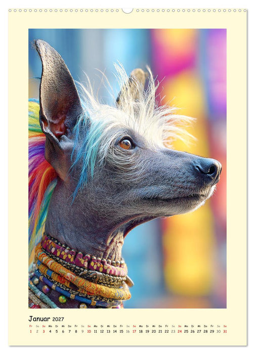 Charme und Grazie. Die Anmut der Chinesischen Schopfhunde (CALVENDO Premium Wandkalender 2027)