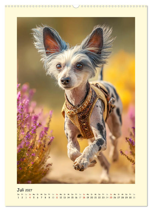 Charme und Grazie. Die Anmut der Chinesischen Schopfhunde (CALVENDO Premium Wandkalender 2027)