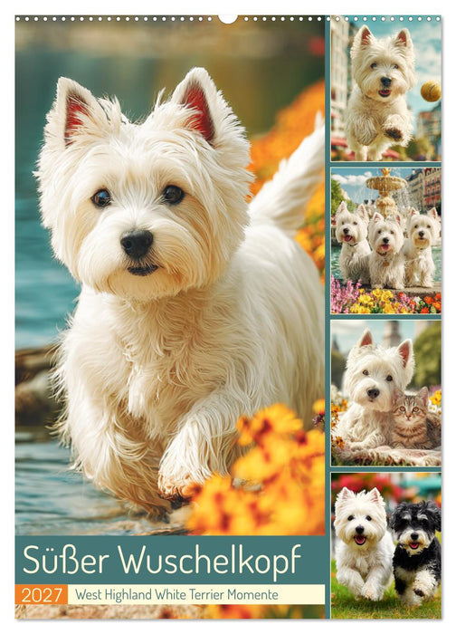 Süßer Wuschelkopf. West Highland White Terrier Momente (CALVENDO Wandkalender 2027)
