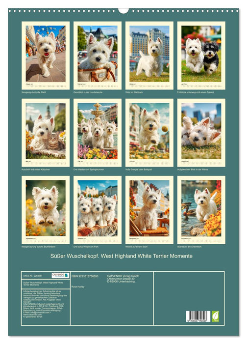 Süßer Wuschelkopf. West Highland White Terrier Momente (CALVENDO Wandkalender 2027)