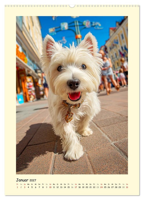 Süßer Wuschelkopf. West Highland White Terrier Momente (CALVENDO Premium Wandkalender 2027)