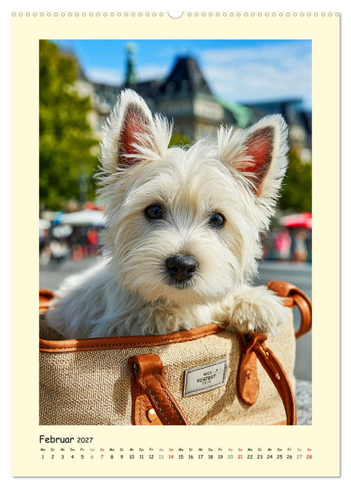 Süßer Wuschelkopf. West Highland White Terrier Momente (CALVENDO Premium Wandkalender 2027)