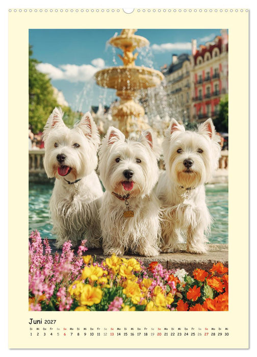 Süßer Wuschelkopf. West Highland White Terrier Momente (CALVENDO Premium Wandkalender 2027)