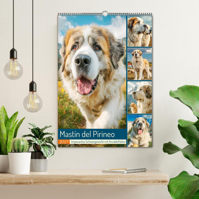 Mastín del Pirineo. Imposantes Schwergewicht mit Knuddelfaktor (CALVENDO Wandkalender 2027)