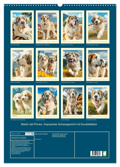 Mastín del Pirineo. Imposantes Schwergewicht mit Knuddelfaktor (CALVENDO Wandkalender 2027)