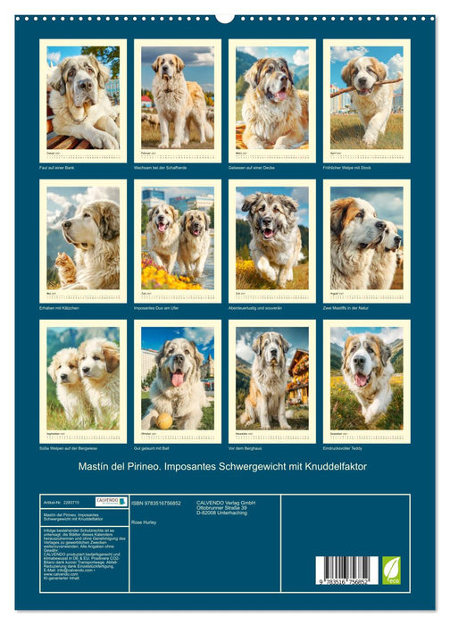 Mastín del Pirineo. Imposantes Schwergewicht mit Knuddelfaktor (CALVENDO Premium Wandkalender 2027)