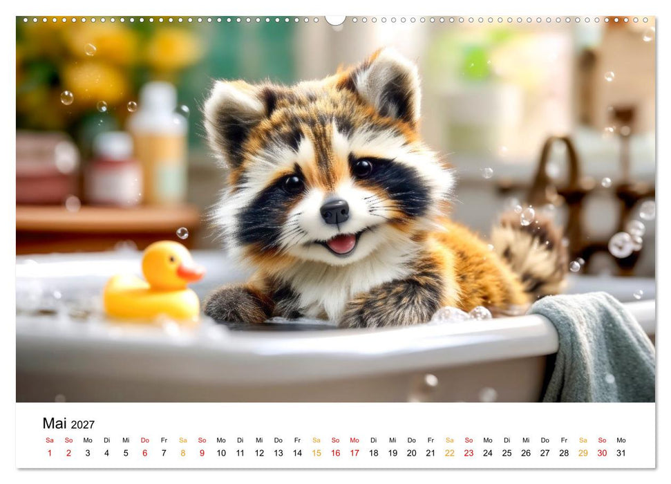 Waschbären - Klein. Knuddelig. Herzerwärmend. (CALVENDO Wandkalender 2027)
