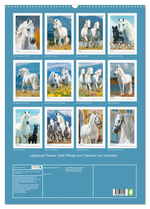Lippizaner Poesie. Edle Pferde zum Träumen und Verlieben (CALVENDO Wandkalender 2027)