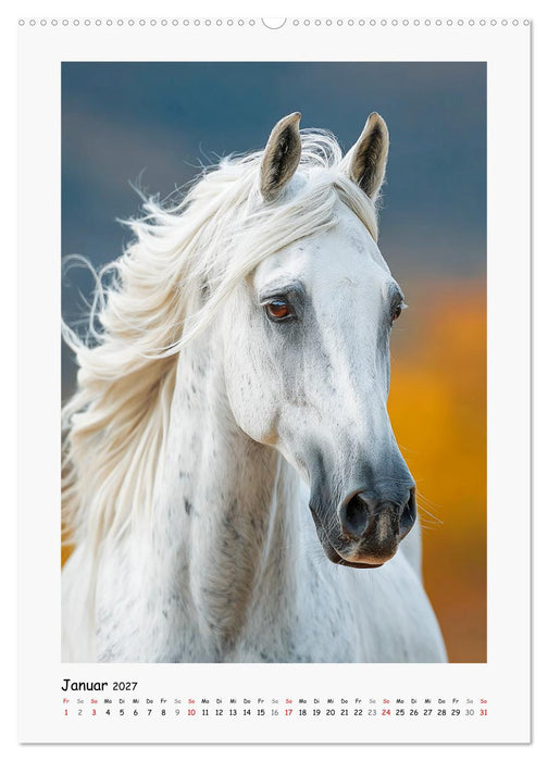 Lippizaner Poesie. Edle Pferde zum Träumen und Verlieben (CALVENDO Premium Wandkalender 2027)