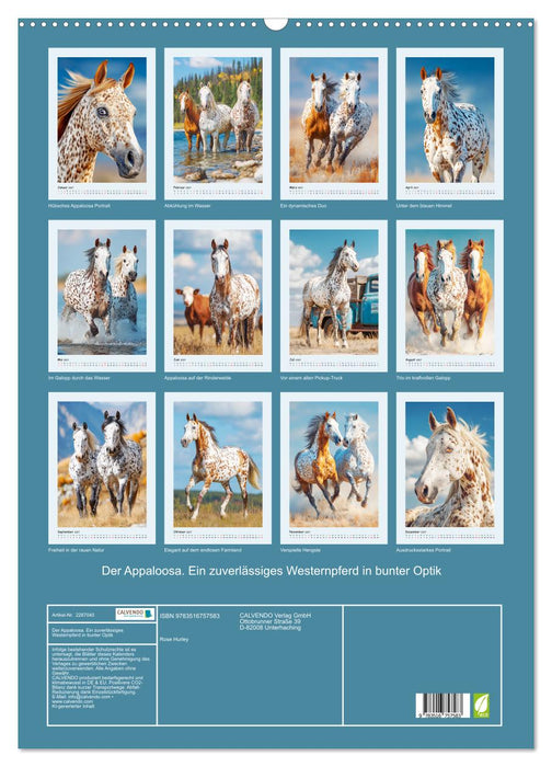 Der Appaloosa. Ein zuverlässiges Westernpferd in bunter Optik (CALVENDO Wandkalender 2027)