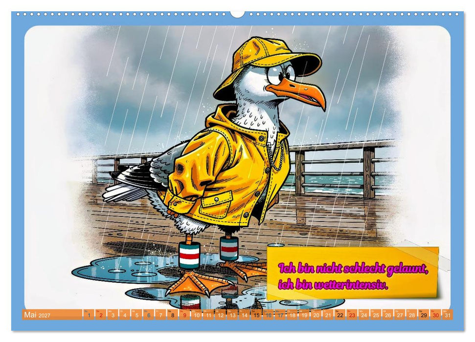 Lustige Möwen von der Küste (CALVENDO Premium Wandkalender 2027)