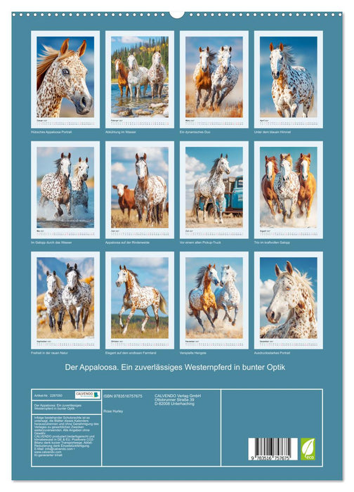 Der Appaloosa. Ein zuverlässiges Westernpferd in bunter Optik (CALVENDO Premium Wandkalender 2027)