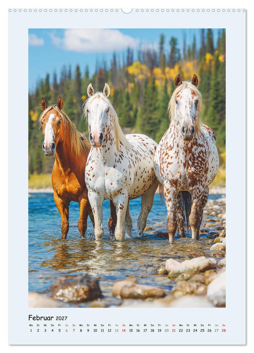Der Appaloosa. Ein zuverlässiges Westernpferd in bunter Optik (CALVENDO Premium Wandkalender 2027)