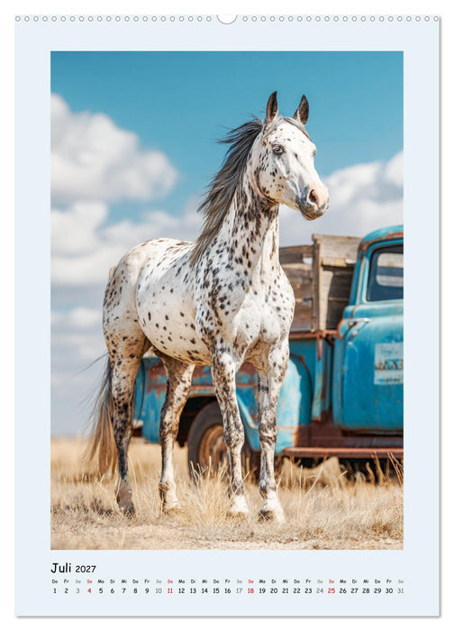 Der Appaloosa. Ein zuverlässiges Westernpferd in bunter Optik (CALVENDO Premium Wandkalender 2027)