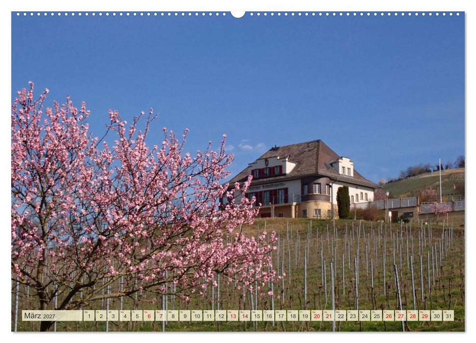 Heppenheim im Laufe der Jahreszeiten (CALVENDO Wandkalender 2027)