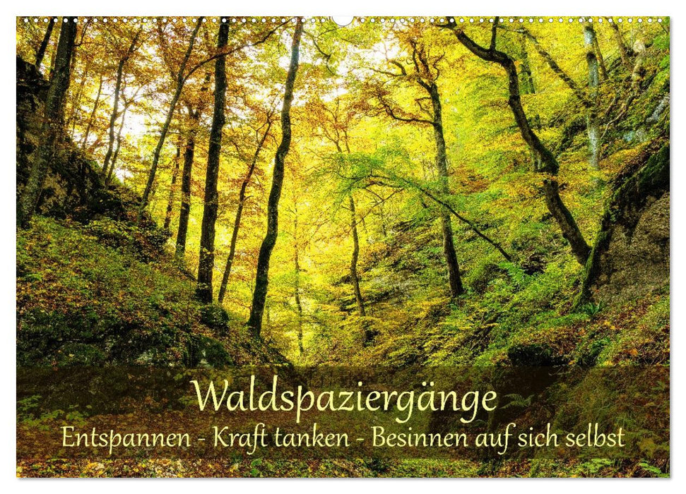 Waldspaziergänge: Entspannen - Kraft tanken - Besinnen auf sich selbst (CALVENDO Wandkalender 2027)