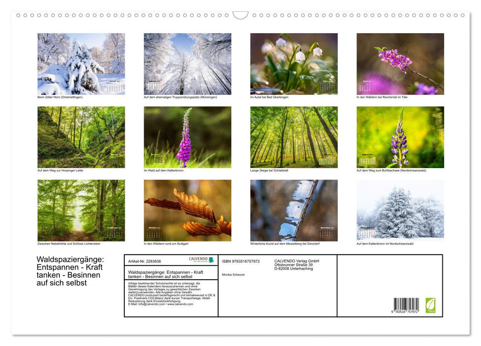 Waldspaziergänge: Entspannen - Kraft tanken - Besinnen auf sich selbst (CALVENDO Wandkalender 2027)