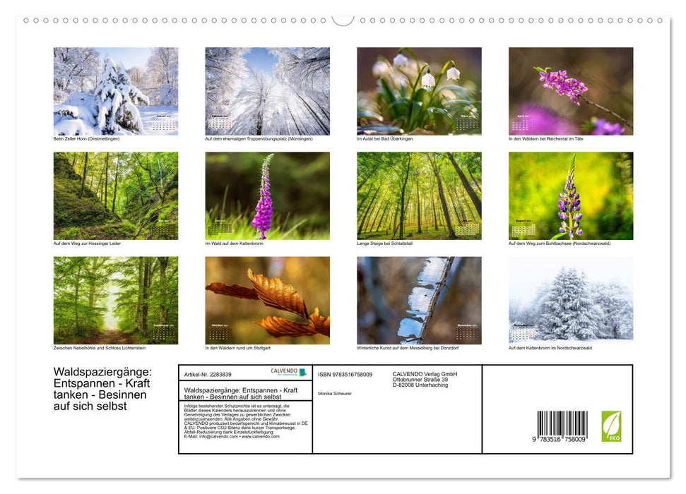Waldspaziergänge: Entspannen - Kraft tanken - Besinnen auf sich selbst (CALVENDO Premium Wandkalender 2027)