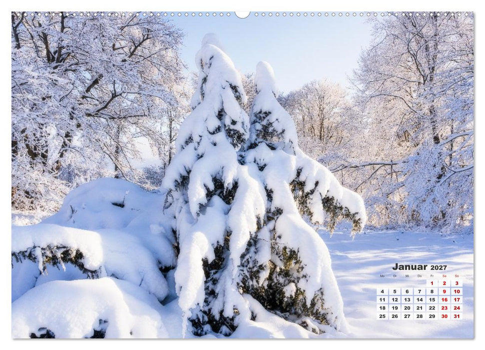 Waldspaziergänge: Entspannen - Kraft tanken - Besinnen auf sich selbst (CALVENDO Premium Wandkalender 2027)