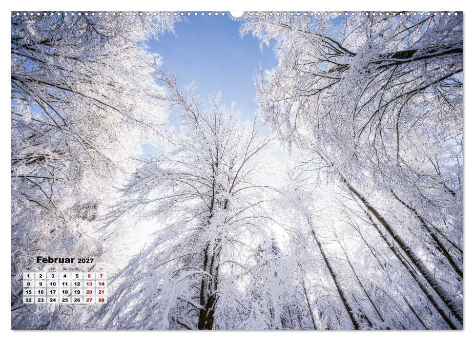 Waldspaziergänge: Entspannen - Kraft tanken - Besinnen auf sich selbst (CALVENDO Premium Wandkalender 2027)