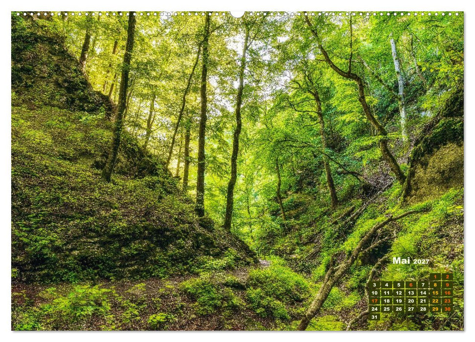 Waldspaziergänge: Entspannen - Kraft tanken - Besinnen auf sich selbst (CALVENDO Premium Wandkalender 2027)