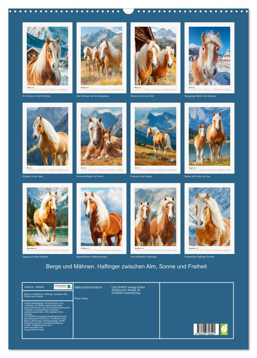 Berge und Mähnen. Haflinger zwischen Alm, Sonne und Freiheit (CALVENDO Wandkalender 2027)