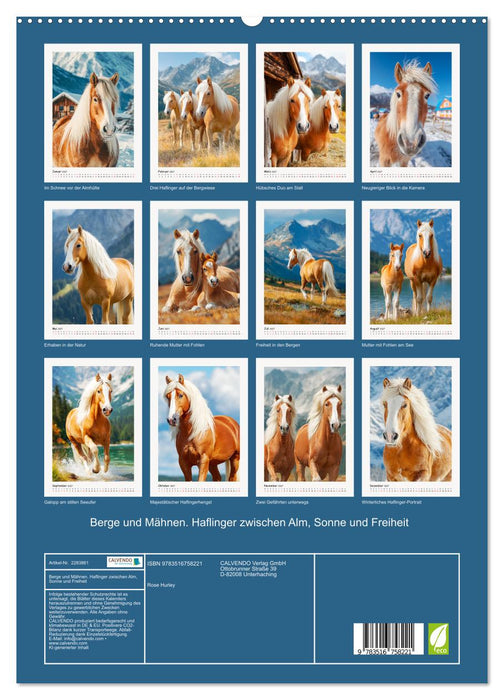Berge und Mähnen. Haflinger zwischen Alm, Sonne und Freiheit (CALVENDO Premium Wandkalender 2027)