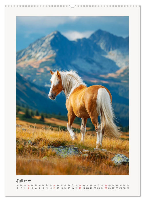 Berge und Mähnen. Haflinger zwischen Alm, Sonne und Freiheit (CALVENDO Premium Wandkalender 2027)