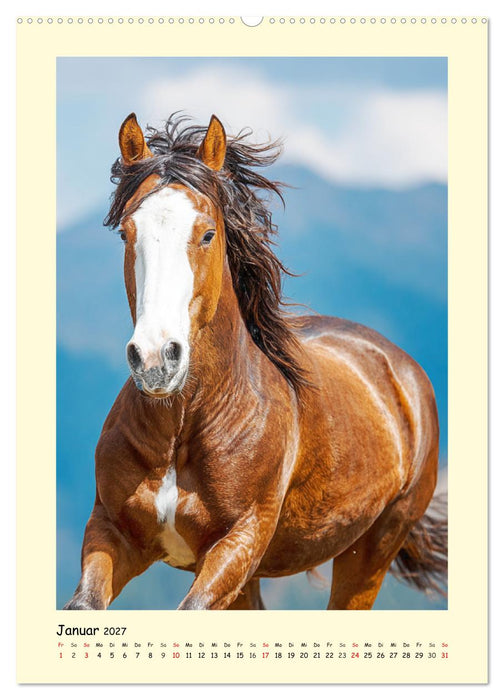Westernpferde. Quarter Horse und Paint Horse auf dem Farmland (CALVENDO Wandkalender 2027)