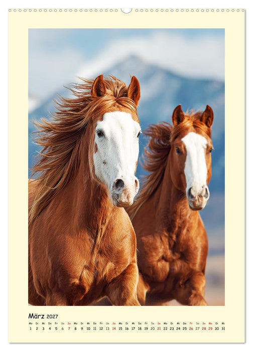Westernpferde. Quarter Horse und Paint Horse auf dem Farmland (CALVENDO Wandkalender 2027)