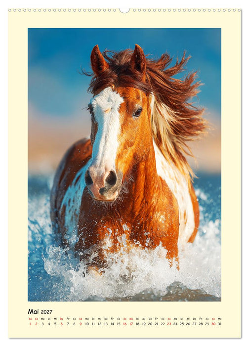 Westernpferde. Quarter Horse und Paint Horse auf dem Farmland (CALVENDO Wandkalender 2027)