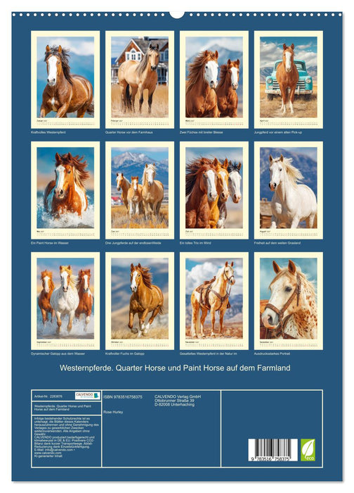 Westernpferde. Quarter Horse und Paint Horse auf dem Farmland (CALVENDO Premium Wandkalender 2027)