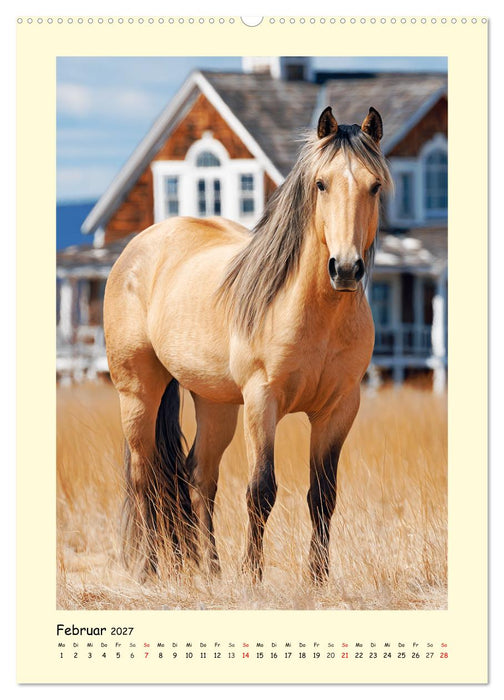 Westernpferde. Quarter Horse und Paint Horse auf dem Farmland (CALVENDO Premium Wandkalender 2027)