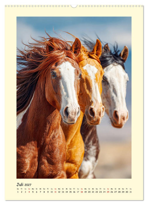 Westernpferde. Quarter Horse und Paint Horse auf dem Farmland (CALVENDO Premium Wandkalender 2027)