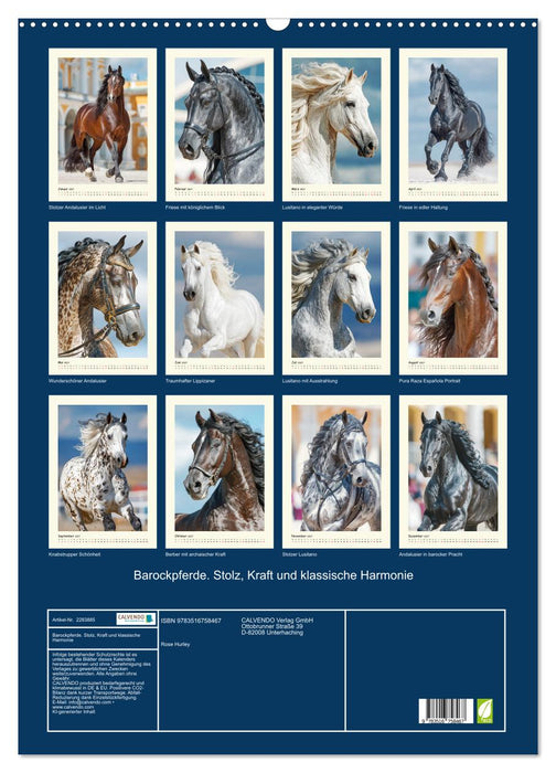 Barockpferde. Stolz, Kraft und klassische Harmonie (CALVENDO Wandkalender 2027)