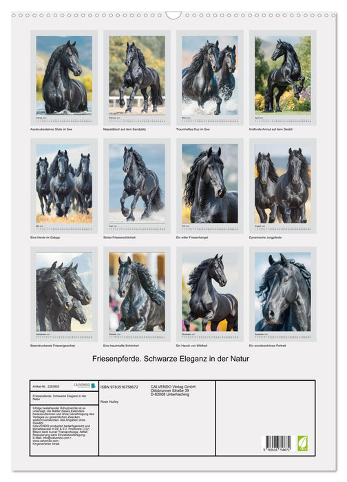 Friesenpferde. Schwarze Eleganz in der Natur (CALVENDO Wandkalender 2027)