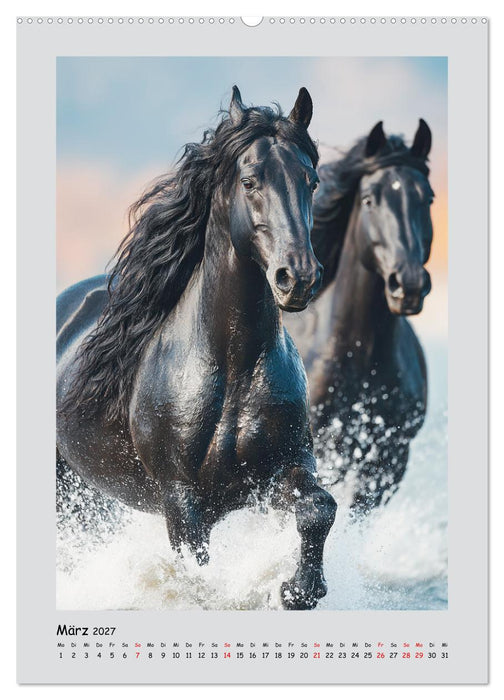 Friesenpferde. Schwarze Eleganz in der Natur (CALVENDO Wandkalender 2027)