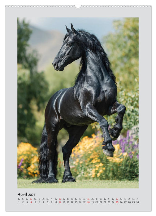 Friesenpferde. Schwarze Eleganz in der Natur (CALVENDO Wandkalender 2027)