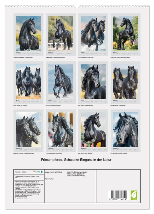 Friesenpferde. Schwarze Eleganz in der Natur (CALVENDO Premium Wandkalender 2027)